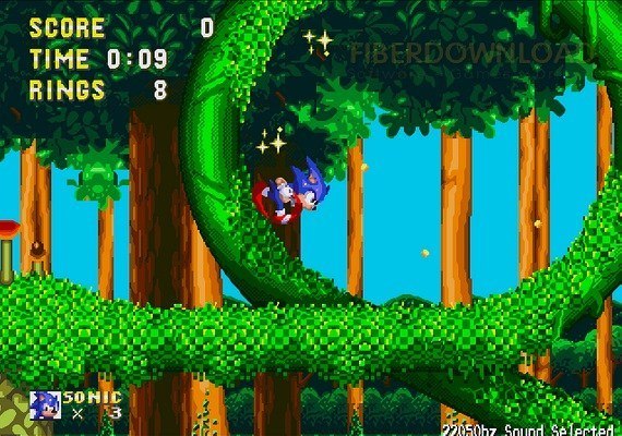 SonicAndKnukles